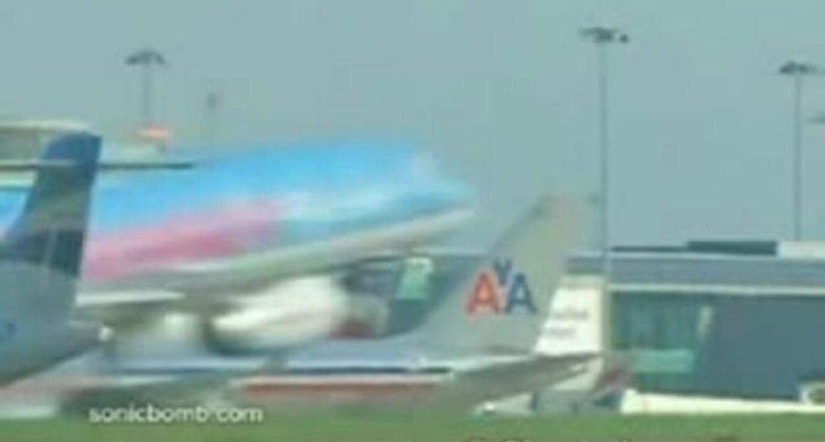 птаха попала у двигун