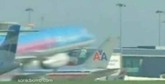 птаха попала у двигун