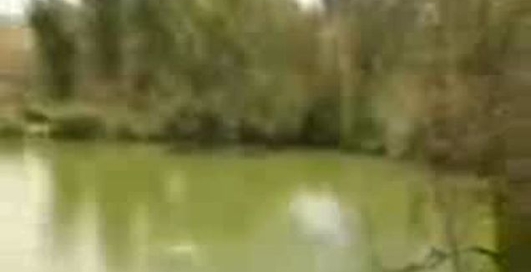 банджа джампінг