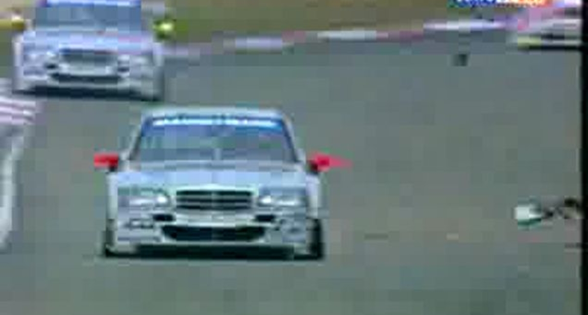 Мерседес и заяц