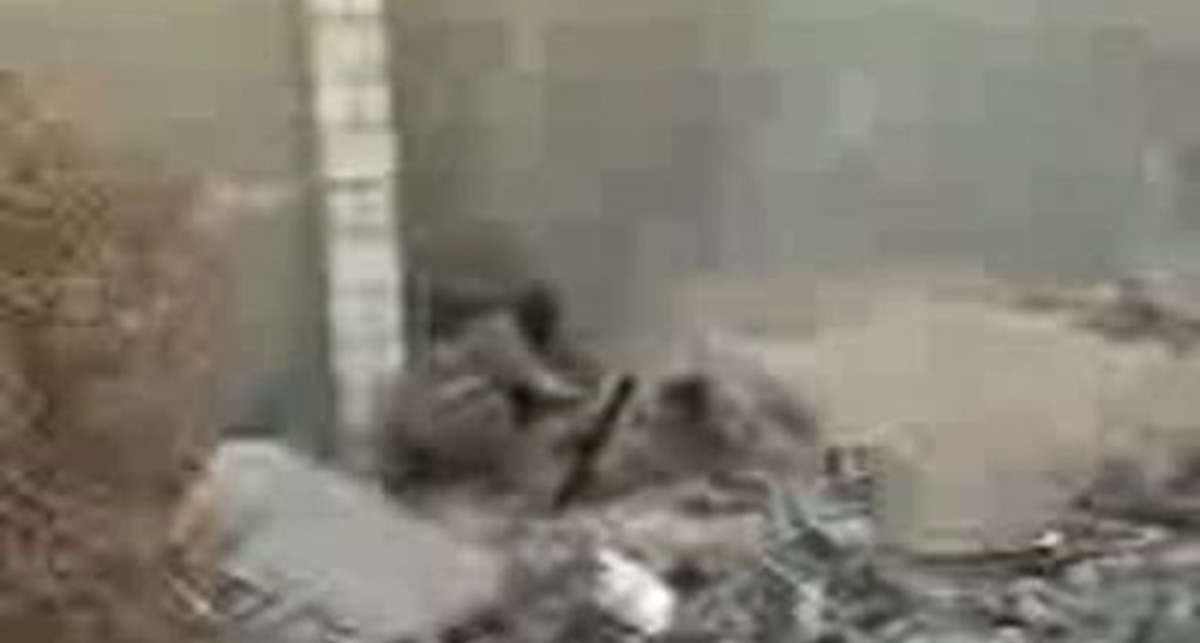 Давыпендривался