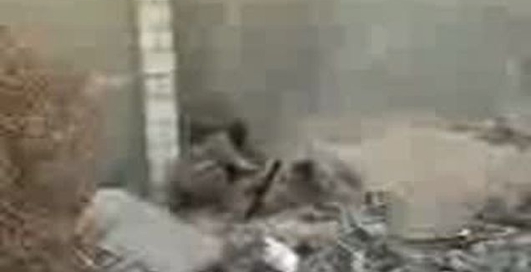 Давыпендривался