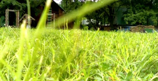 Мимо трамплина