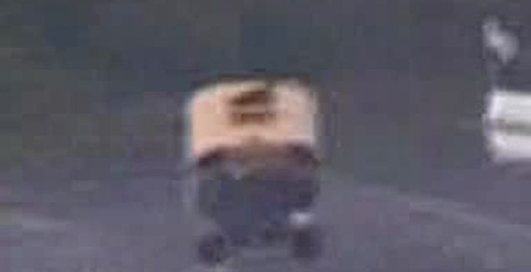 АВТОБУС ЗВЕРЬ