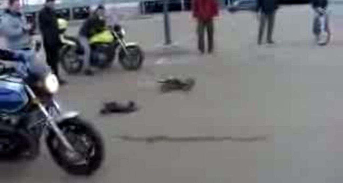 Игрушка VS Мотоцыкл