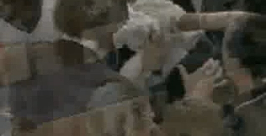 Драка - М.Кэмби против Д.Фэрри !!!