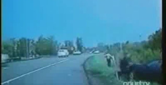 збив полісмена