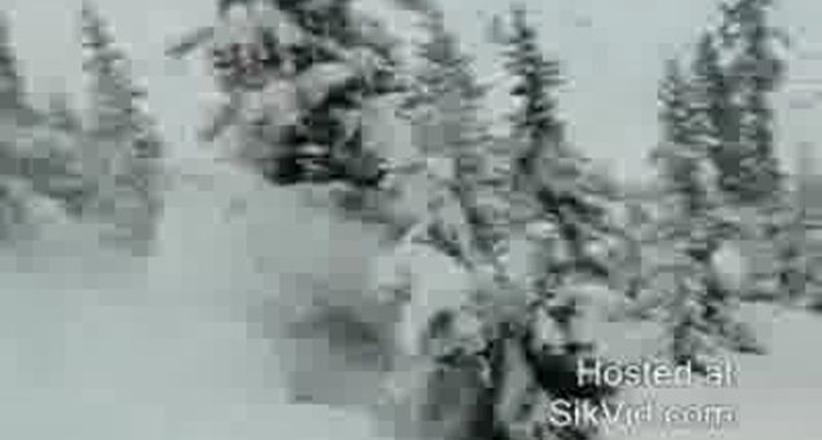 ой прямо в дерева