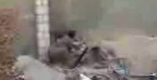 довыделывался