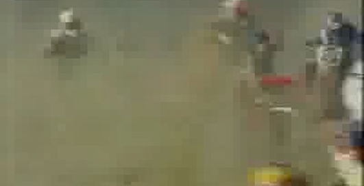 интиресное видео с моциком