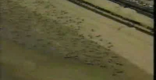 интиресное видео с моциком