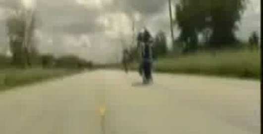 интиресное видео с моциком