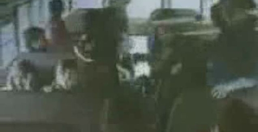 Кid saves bus full of kids