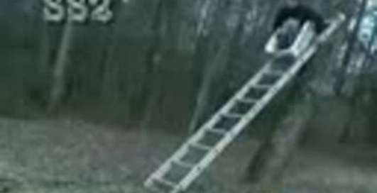 що дурачок хоті в зробити