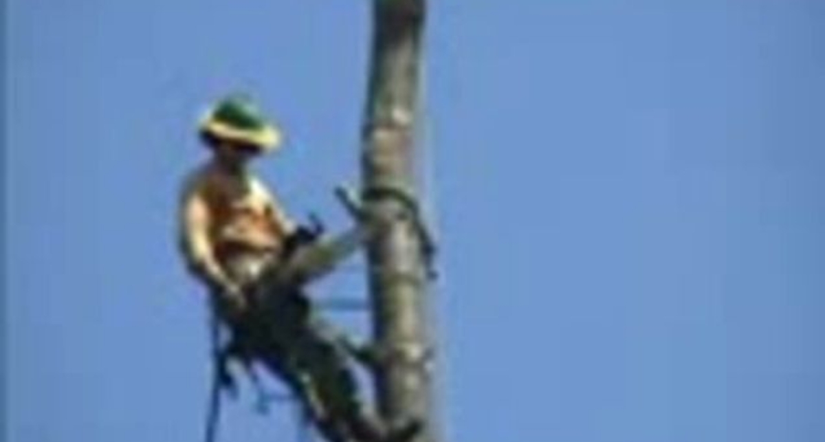 ледве втримався