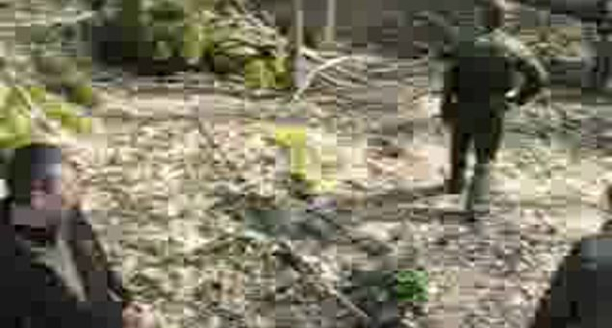 7463 Неандертальцы могли 3 раза в день