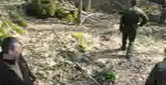 7463 Неандертальцы могли 3 раза в день