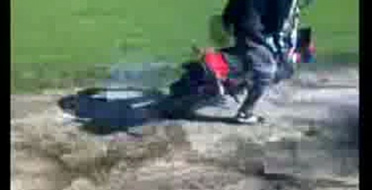 ЗиД 50 в лесу