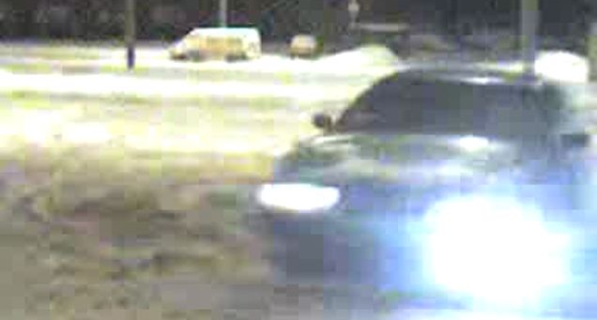 Санек пашет))(папарац ци)