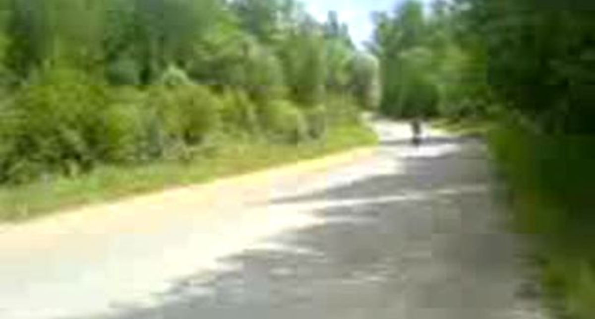 учусь стоять на переднем колесе!