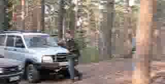 Указатель ЧГ