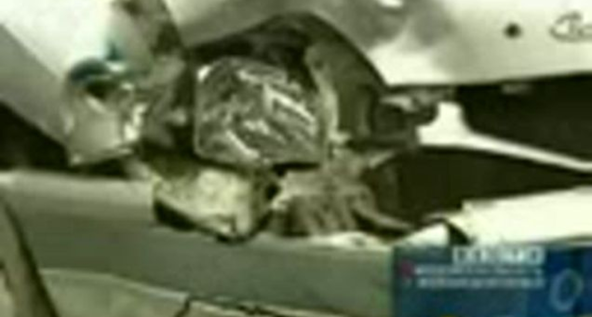 російські полісмени