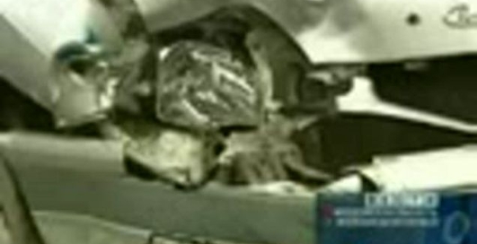 російські полісмени