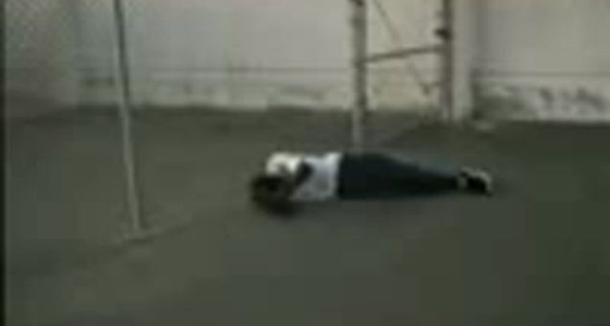 скейтер телепнув