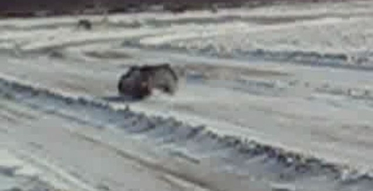 16.02.2008 ТЕХНОРИНГ