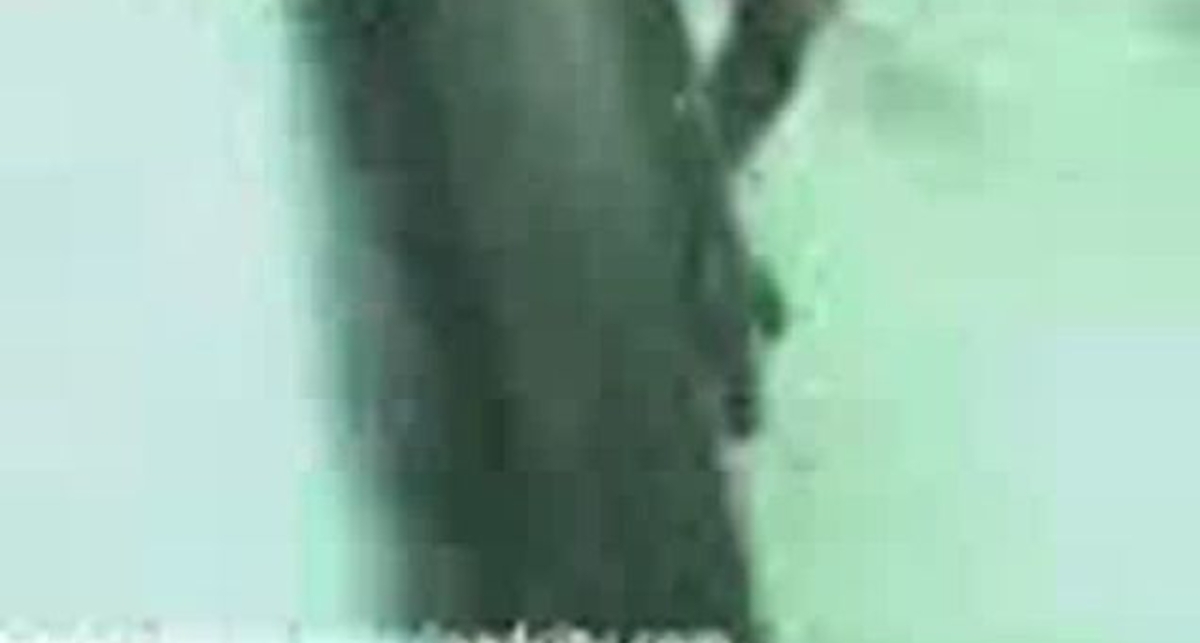 на мотоциклах