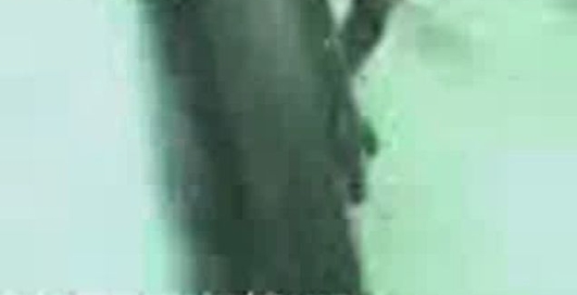 на мотоциклах