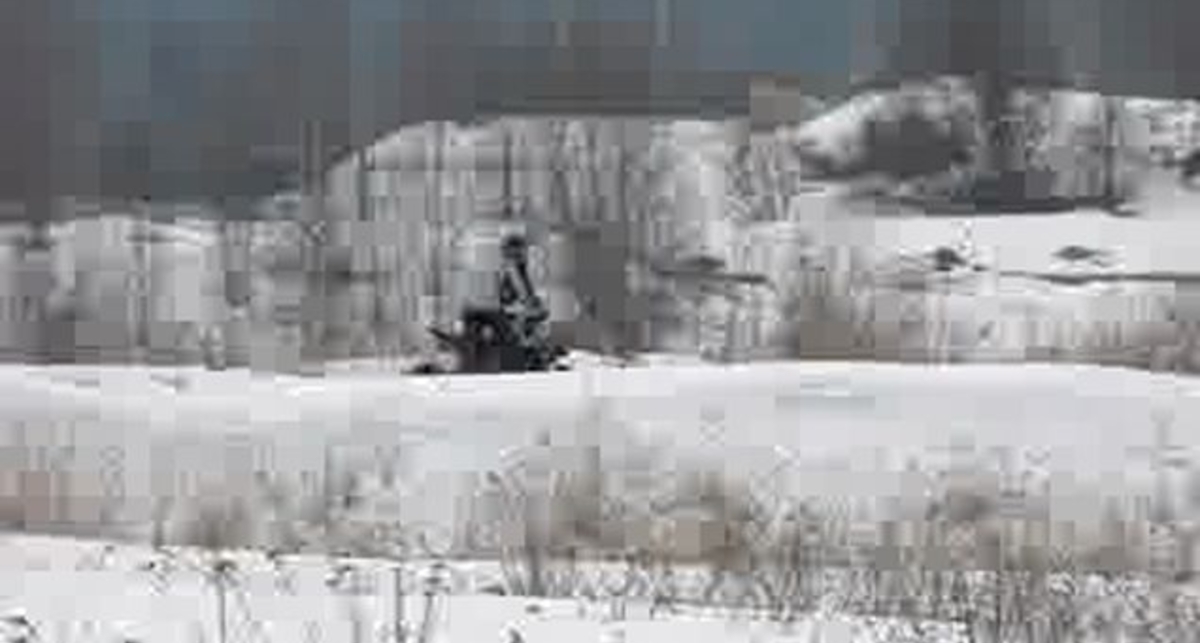 мототрек в зеленограде небольшой участок