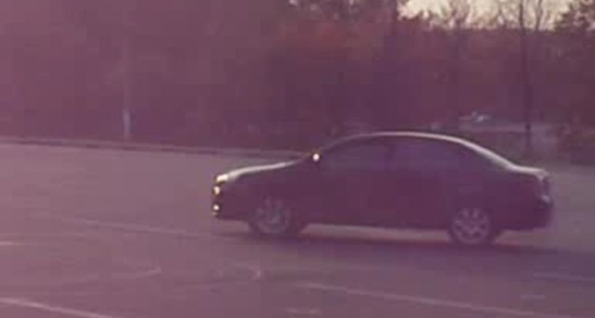 Солянка из заносов и прочего