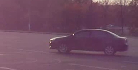 Солянка из заносов и прочего