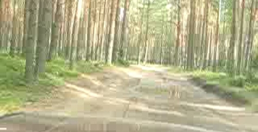 выхлоп форда мустанга.... 4.2 литра....