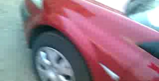 Птицы и гавно