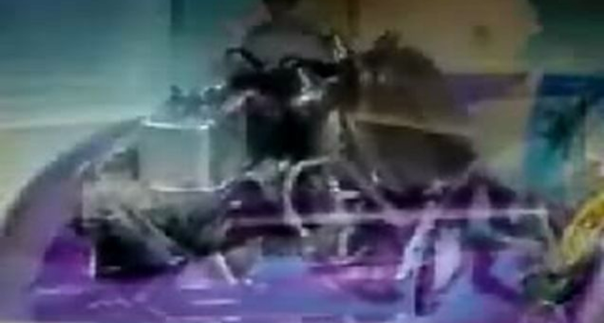 самая низкая машина в мире