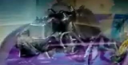 самая низкая машина в мире