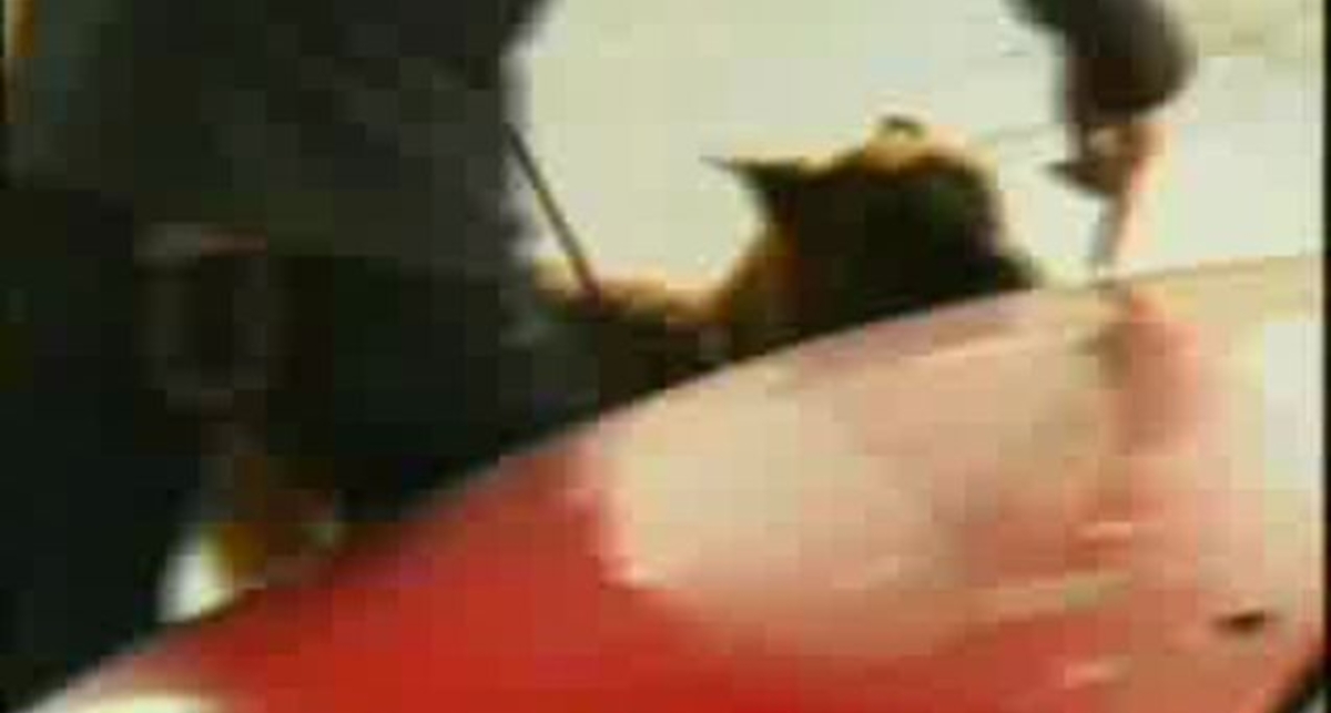 Nahodka 2kg ekstazi pes nashel v audi narkotik 2007 oktjabrj Latvija