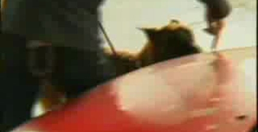 Nahodka 2kg ekstazi pes nashel v audi narkotik 2007 oktjabrj Latvija