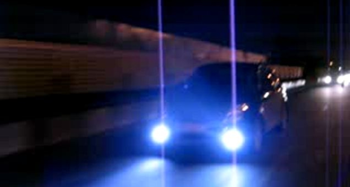 Свифтята - вид сбоку