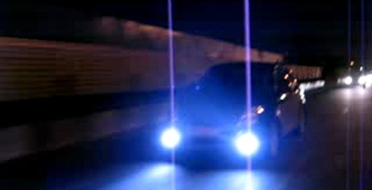 Свифтята - вид сбоку