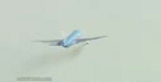 Птица в турбине