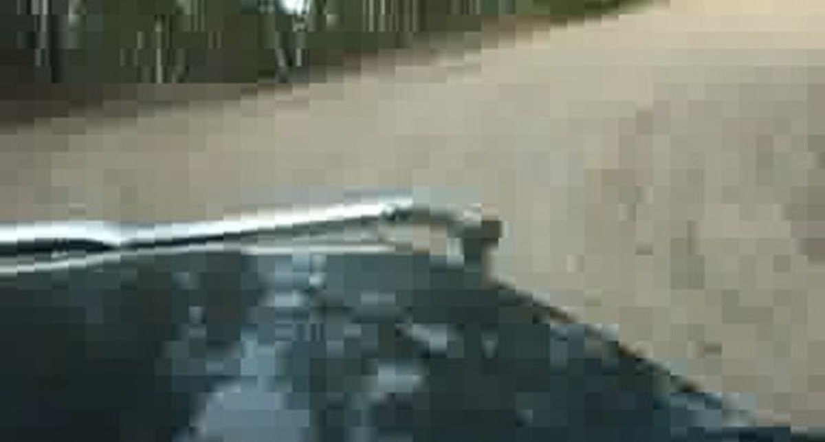 Сестрорецк трофи