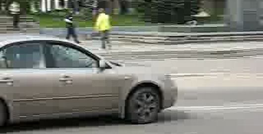 Авторалли Дружба 2008