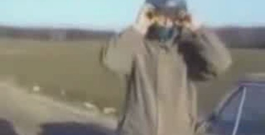 Сельское развлечение