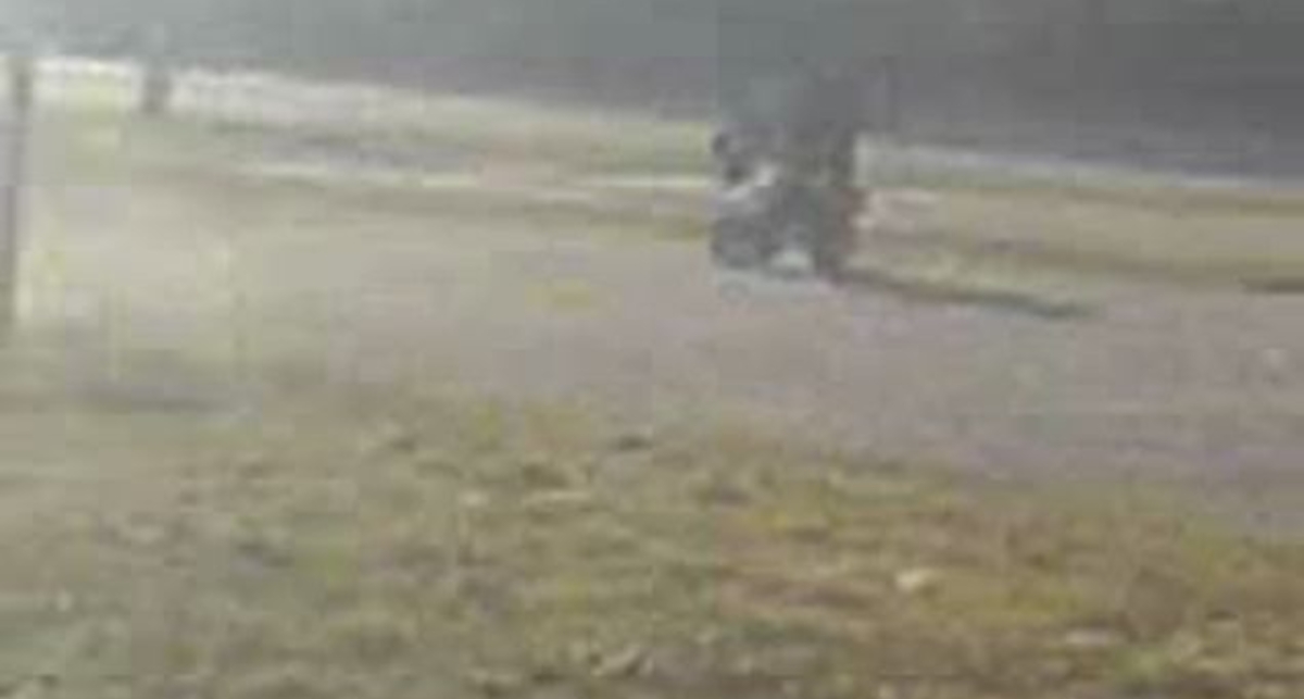 SCR1PT and Crop (POCKET BIKE RIDE)