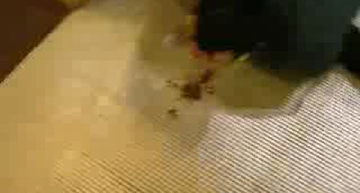 Прыжок с эскалатора