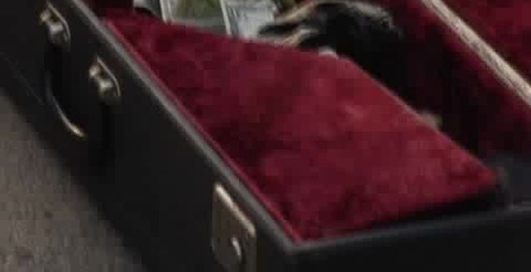 Пасхальный кролик вас ненавидит!