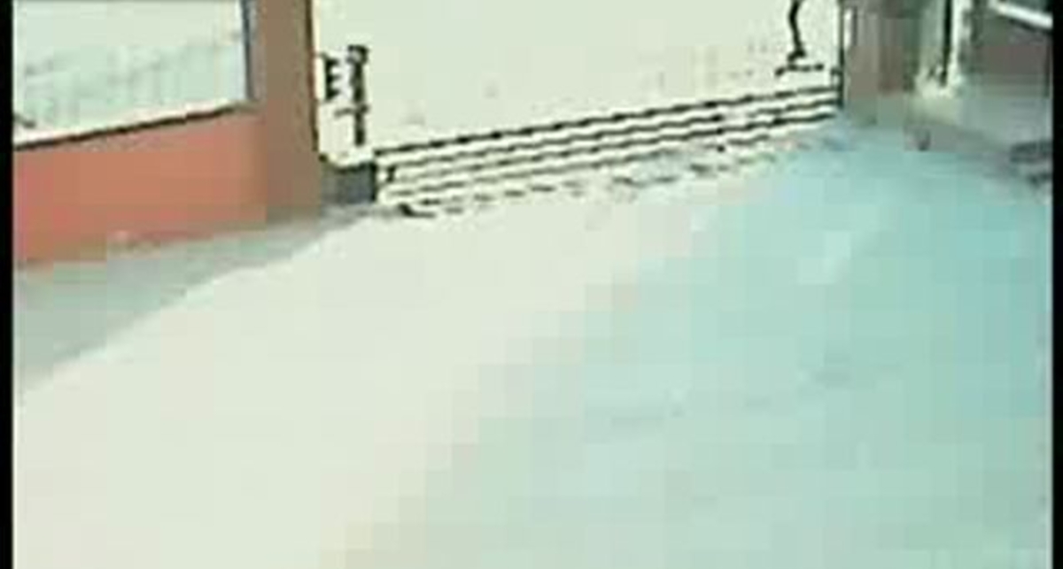 Пешеход + машина = фарш